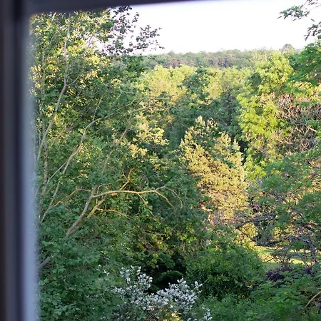 Du Vieux Moulin Buxieres-sur-Arce